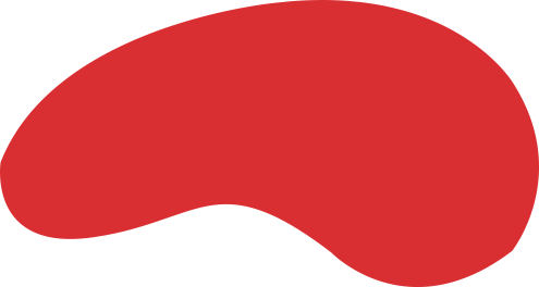 集团业务